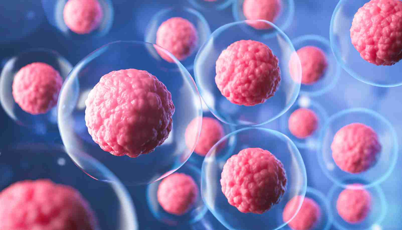 Columbus Stem Cell Therapy, PRP, Regenerative Medicine